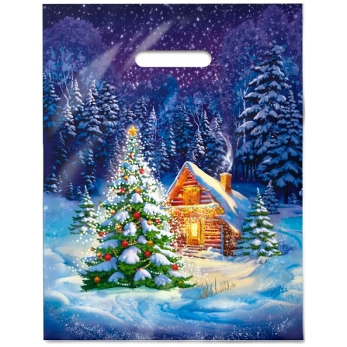 Пакет проруб ручка 31х40 НГ  "Ночное чудо" 60мкр ламинир./50 /