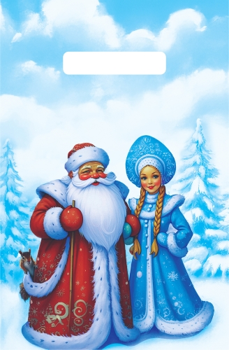 Пакет проруб ручка 20х30 НГ  "Дед Мороз и Снегурочка"/100шт./