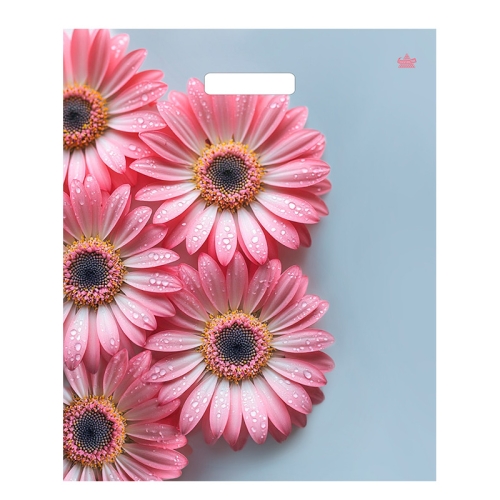 Пакет проруб.ручка 38х45 Герберы 60мкр./50/